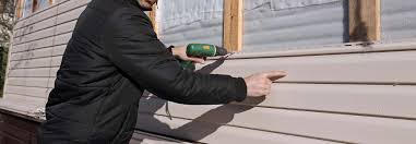 Best Custom Trim and Detailing for Siding  in Clementon, NJ